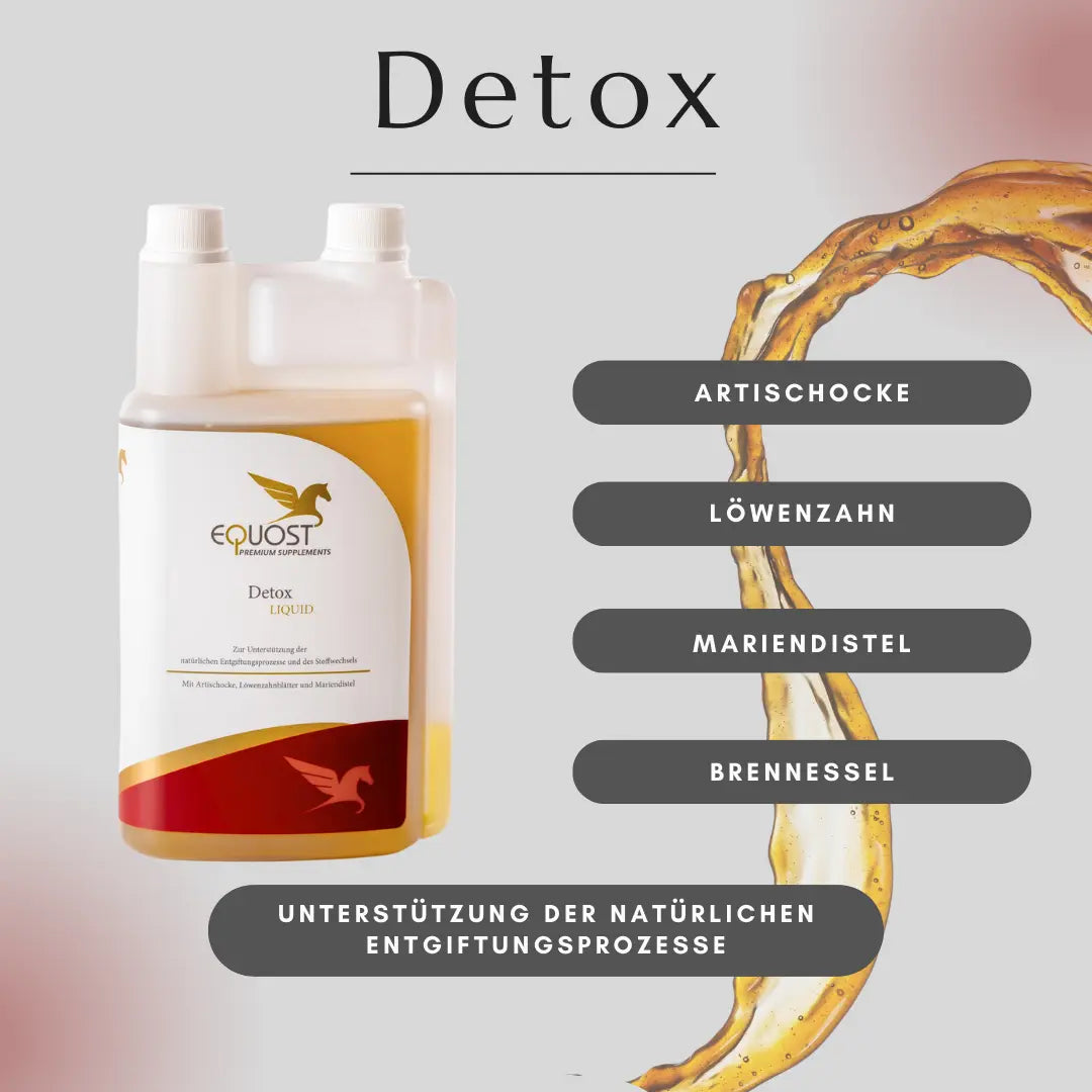 DETOX Equost