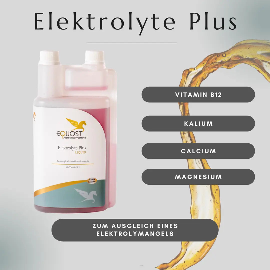 ELEKTROLYTE PLUS Equost