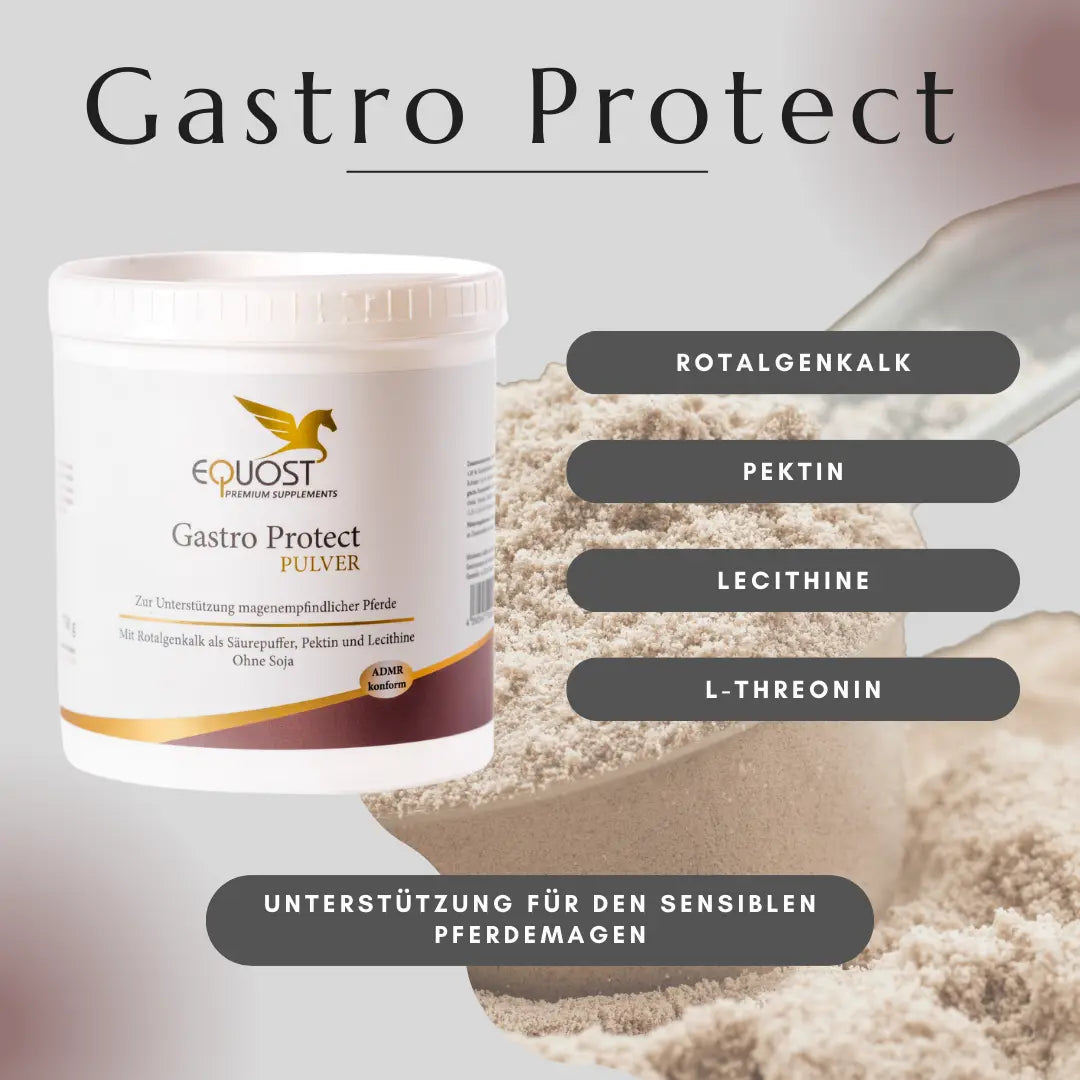 GASTRO PROTECT VORTEILSPAKET Equost