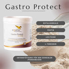 GASTRO PROTECT VORTEILSPAKET Equost