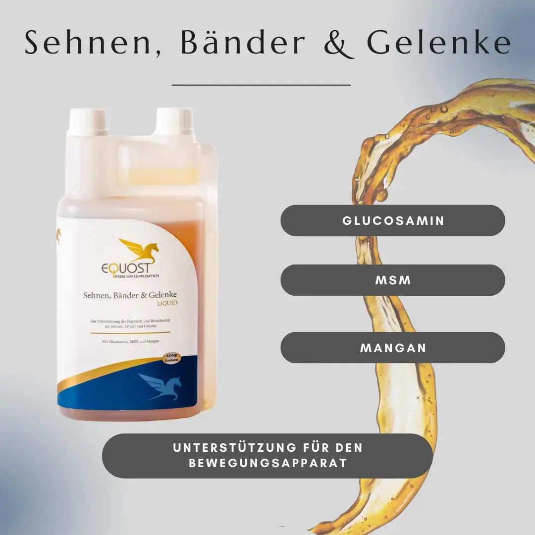 SEHNEN, BÄNDER UND GELENKE EQUOST
