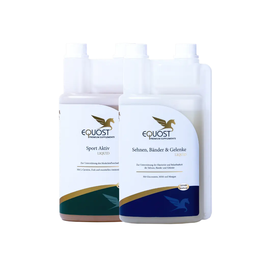 SUPPORT & PERFORMANCE DUO EQUOST