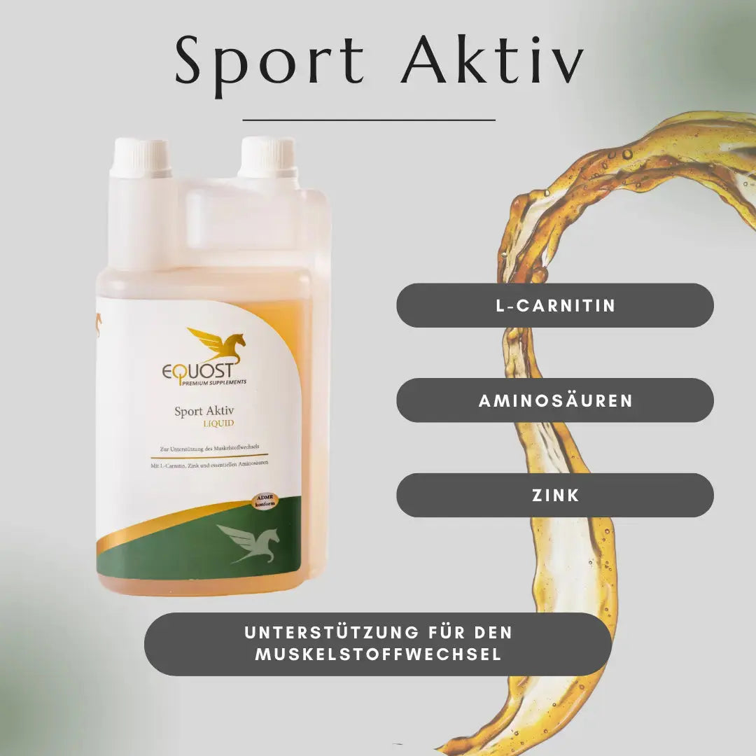 SUPPORT & PERFORMANCE DUO EQUOST