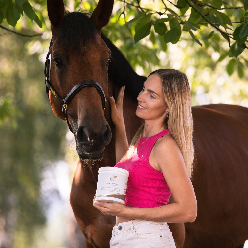 Pferd gähnt beim Gurten? Hilfe bei Magenproblemen.