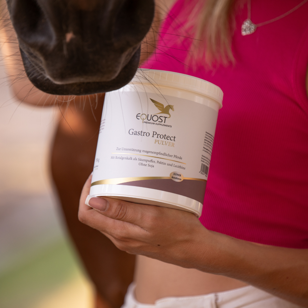 Magenprobleme bei Pferden: Ursachen, Vorbeugung und gezielte Fütterung