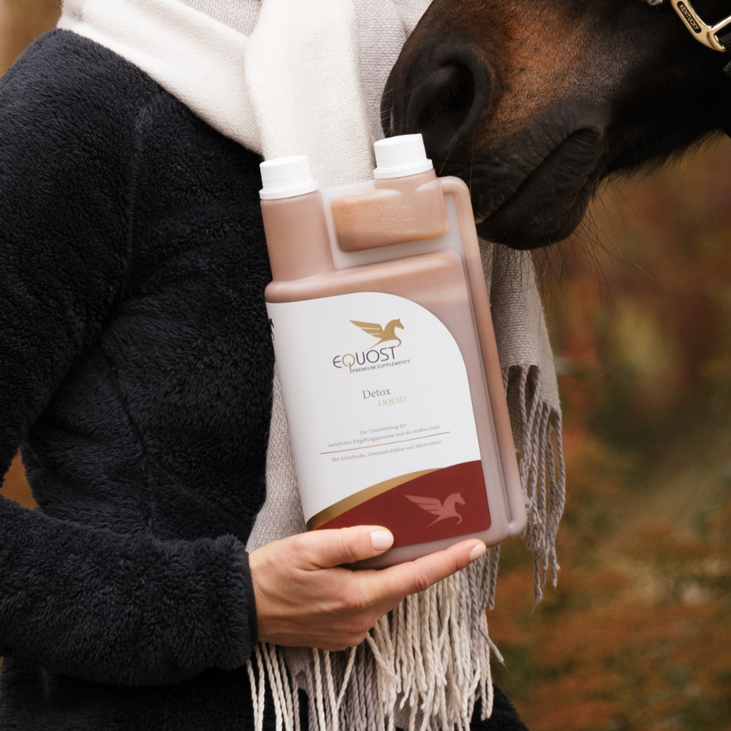 Entgiften im Frühjahr: Wie eine Futterkur die Entgiftungsorgane unterstützt