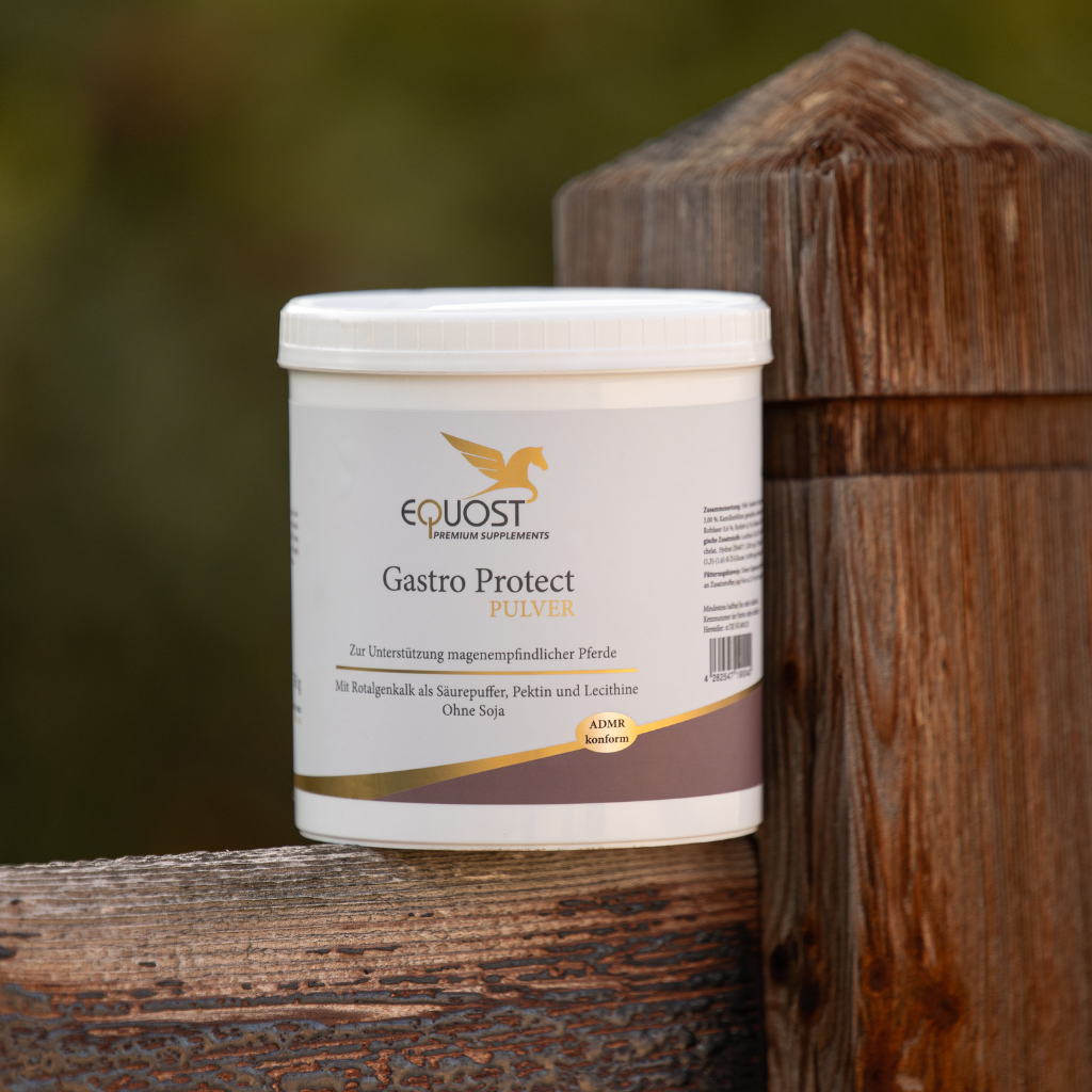 Rotalge in der Pferdefütterung: Natürlicher Säurepuffer für einen gesunden Magen